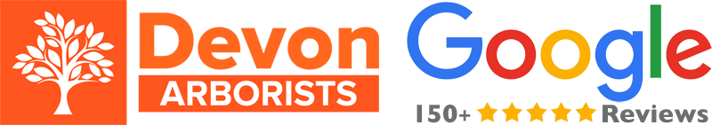 East Devon Tree Surgeons Reviews