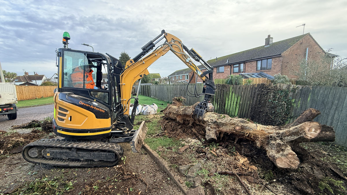 East Devon Tree Surgeons