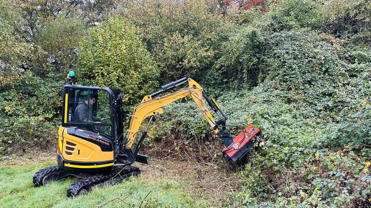Tree Surgeon East Devon
