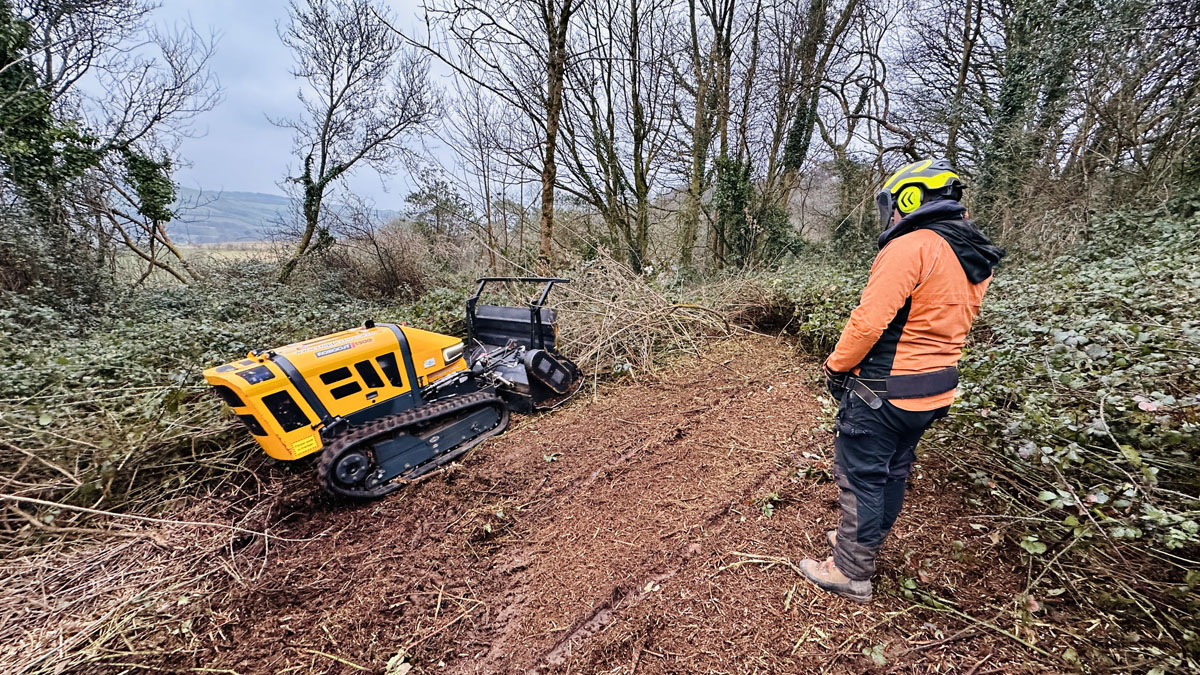 Tree Surgeon East Devon